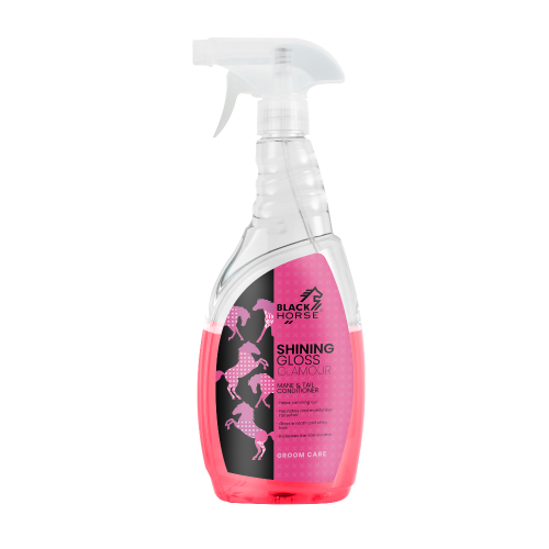 SHINING-GLOSS-GLAMOUR-W-750-ml.png