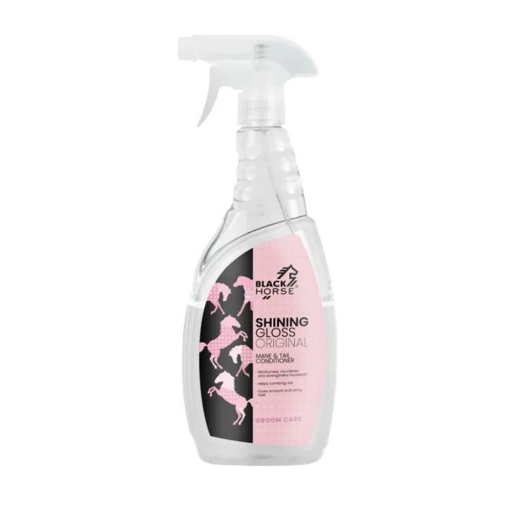 SHINING-GLOSS-ORIGINAL-W-750-ml-1-1536x1024-1.webp
