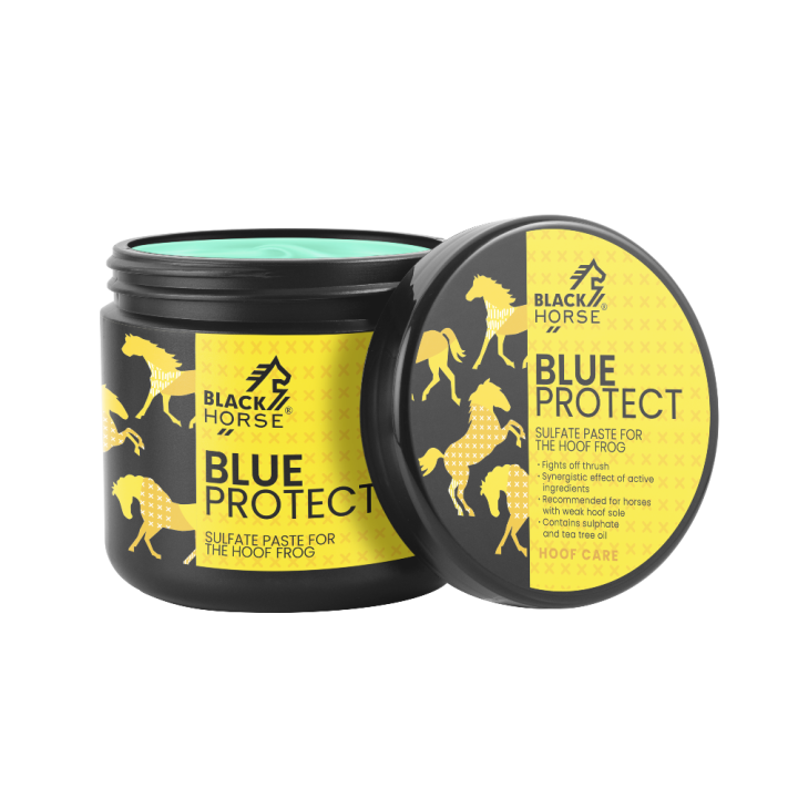 BLUE-PROTECT-W.png