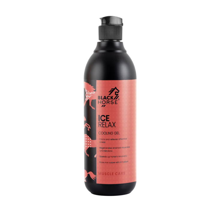 ICE-RELAX-500ml-dziubek-W.png