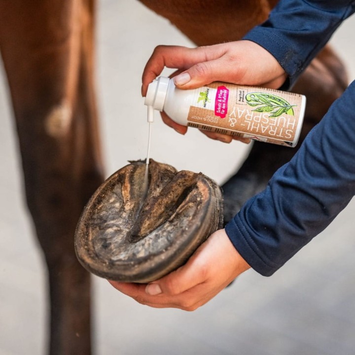 703-2_1920x1920.jpg