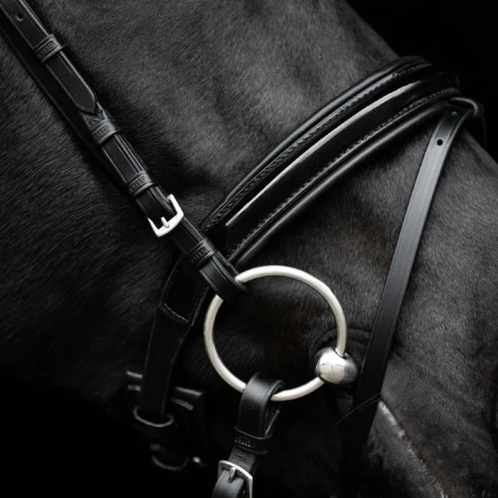 1327-364_comfort_paris_black_blackpatentleather_greycrystals_horse_4_shop.webp
