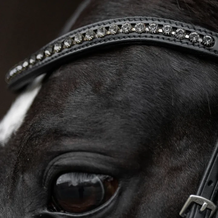 1326-364_comfort_paris_black_blackpatentleather_greycrystals_horse_3_shop.webp