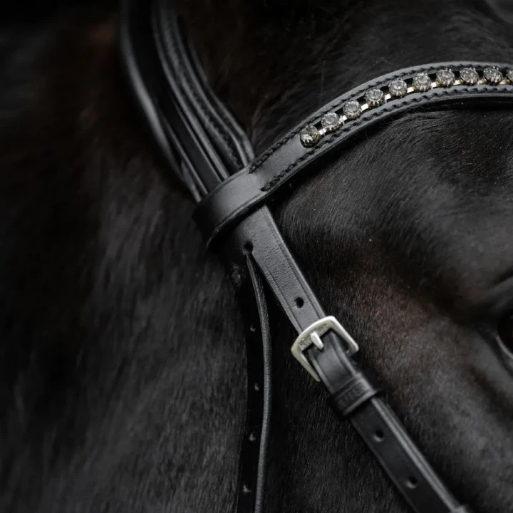 1325-364_comfort_paris_black_blackpatentleather_greycrystals_horse_2_shop.webp
