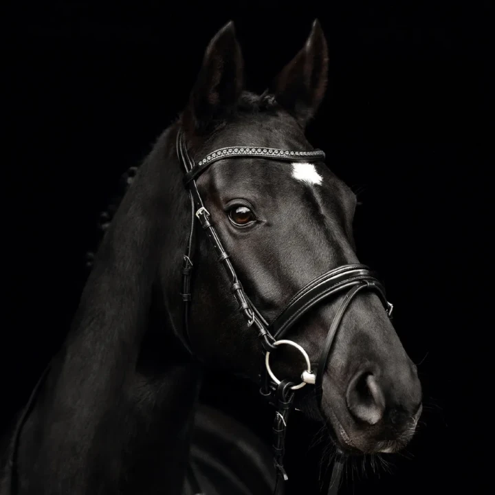 1324-364_comfort_paris_black_blackpatentleather_greycrystals_horse_1_shop.webp