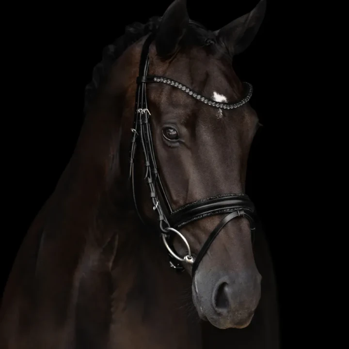 1249-3165_grace_horse_1_shop_3f390c63-8cb7-49c4-b41b-1d445843c0c3.webp