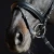 1205-3156_priya_horse_3_shop.webp
