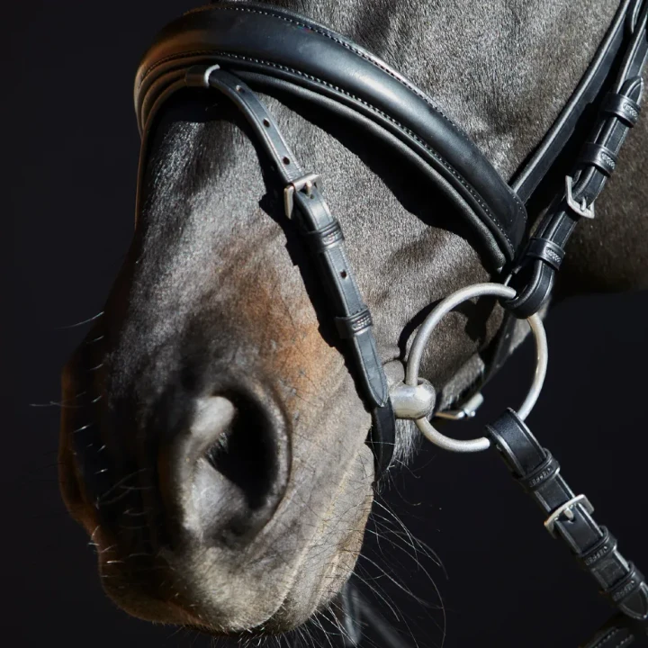 1205-3156_priya_horse_3_shop.webp