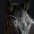 1204-3156_priya_horse_2_shop.webp