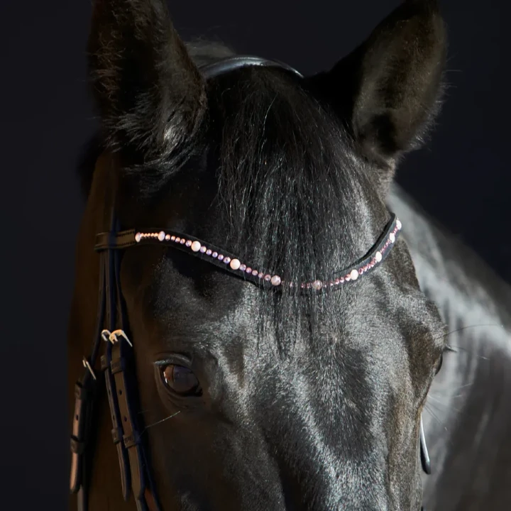 1204-3156_priya_horse_2_shop.webp