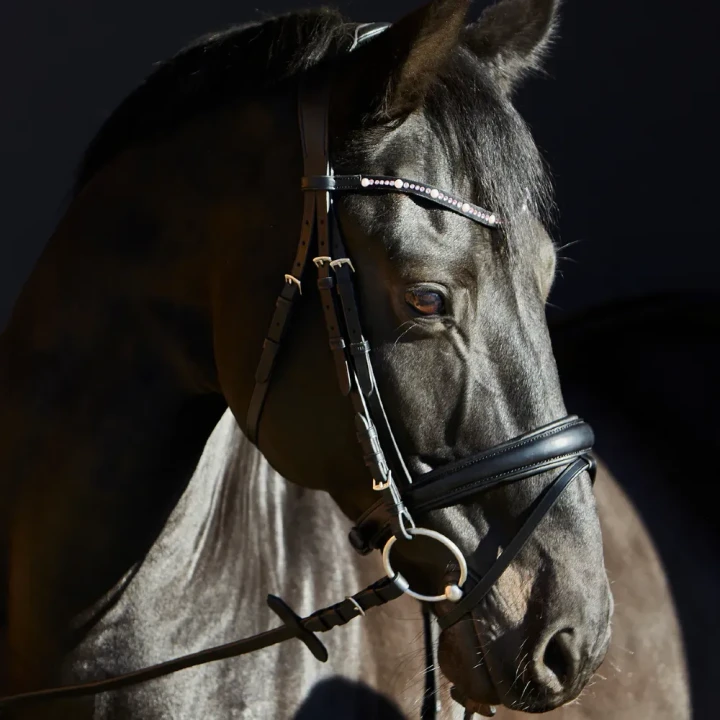 1203-3156_priya_horse_1_shop.webp