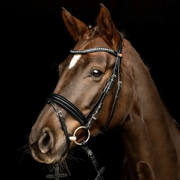 1103-3101_comfort_lyon_blackblack_horse_1_shop.webp