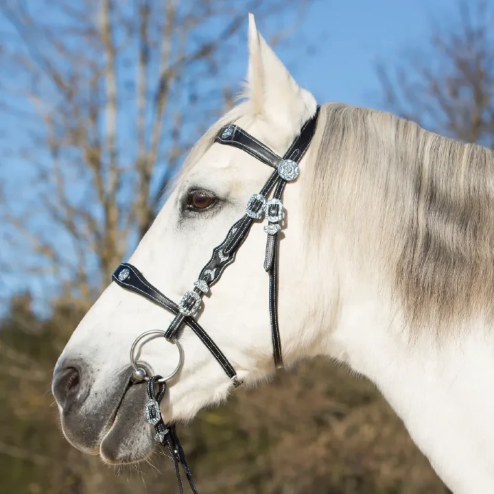 1288-326_isabella_black_chrome_horse_1_shop.webp