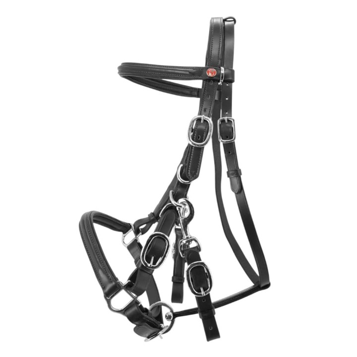 1107-227_kieffers_trail_black_iso_1_shop.jpg