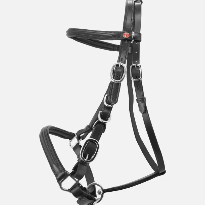 1111-227_kieffers_trail_black_iso_4_shop.webp