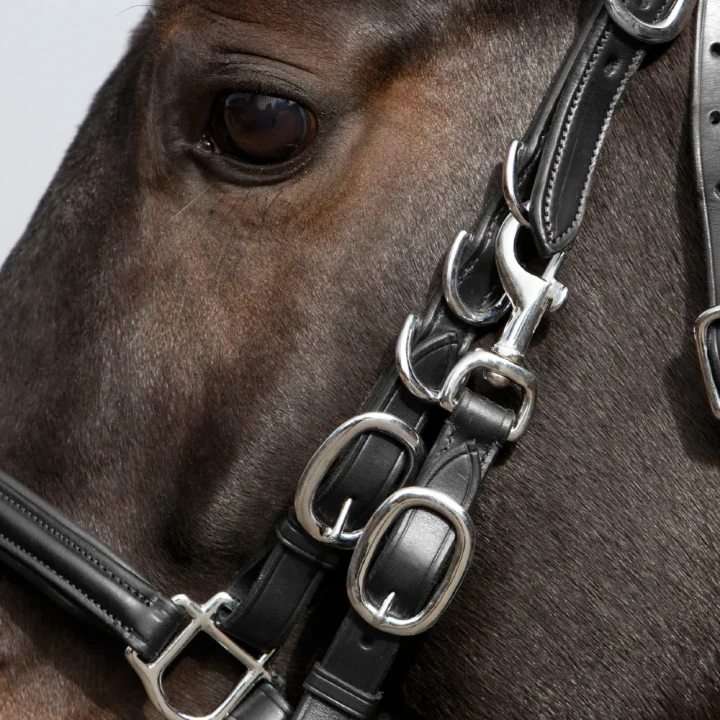1109-227_kieffers_trail_black_horse_2_shop.webp