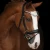 1234-3164_victoria_ii_horse_1_shop.webp