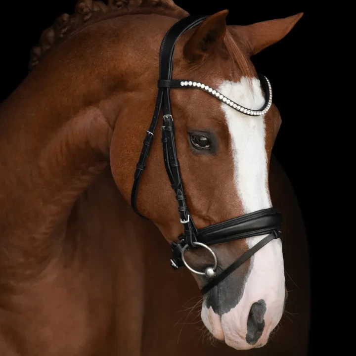 1234-3164_victoria_ii_horse_1_shop.webp