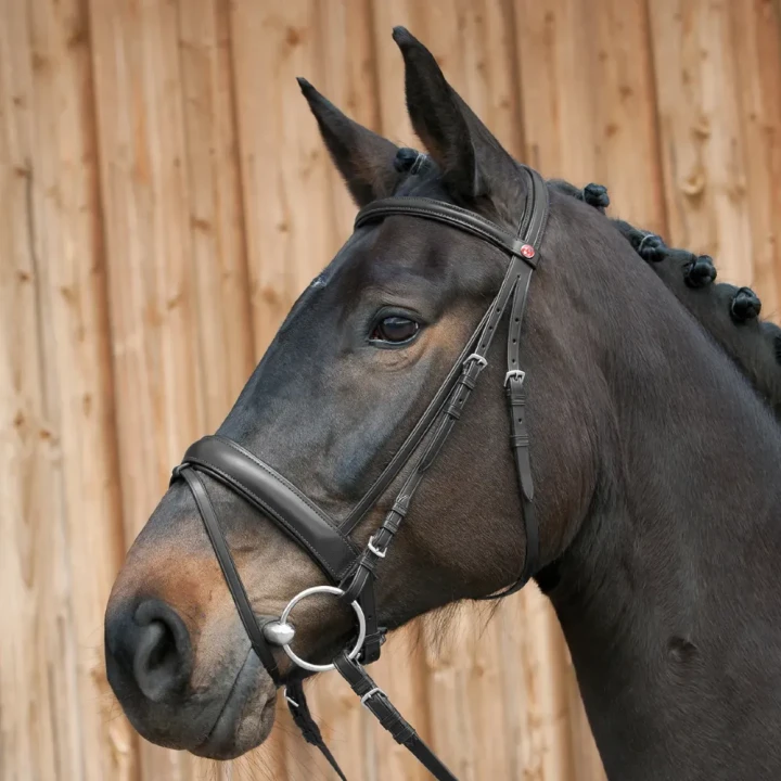 1098-299_ergonomic_line_iii_black_horse_1_shop.webp