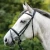 1302-349_anja_beran_black_horse_1_shop.webp
