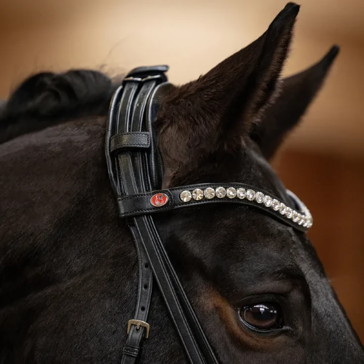 1280-3167_lina_horse_2_shop.webp