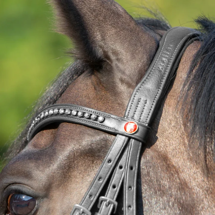 1139-3140_kieffer_ultrasoft_celia_black_horse_2_shop.webp