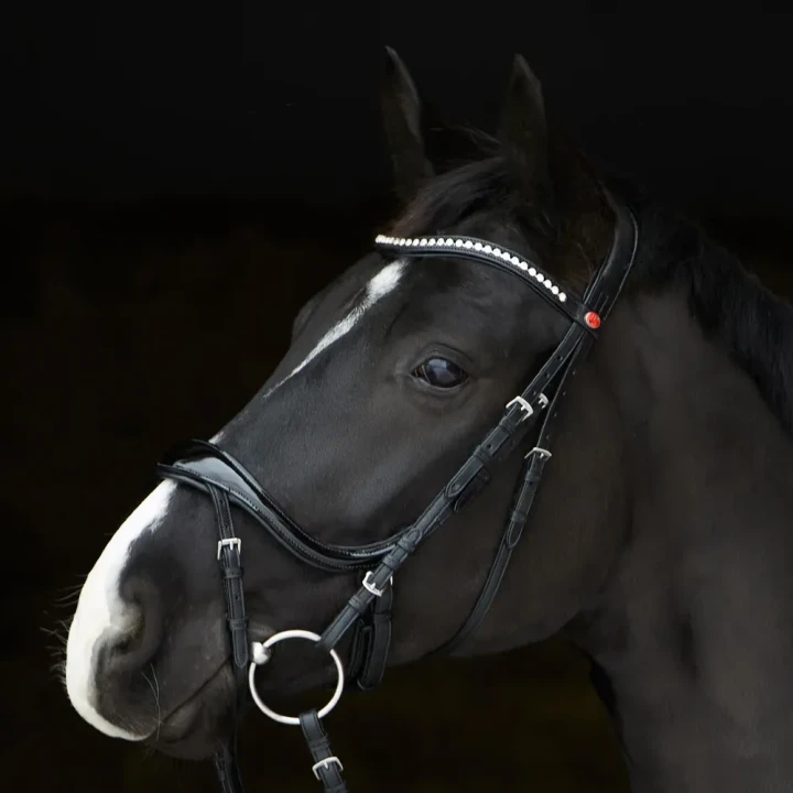 1245-3159_kieffer_ultrasoft_amy_shine_horse_1_shop.webp