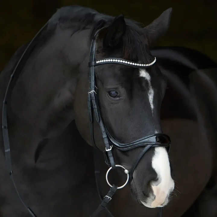 1244-3159_kieffer_ultrasoft_amy_shine_horse_3_shop.webp