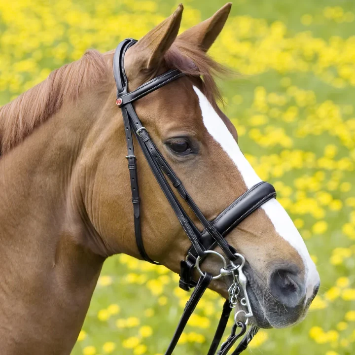 586-259_ergonomic_ii_horse_1_shop.webp