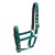 504-553_foal_green_iso_1_shop.jpg