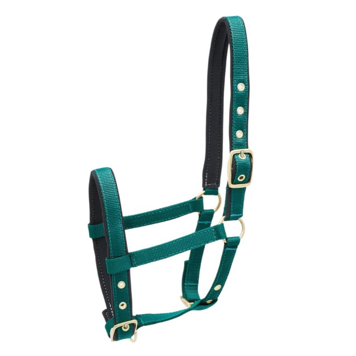 504-553_foal_green_iso_1_shop.jpg