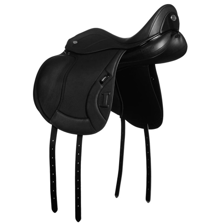 Ikonic Evolution DEV02