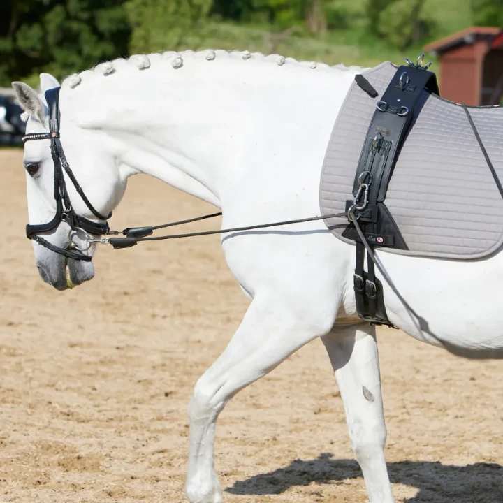 1442-629_flexifit_secu_pro_horse_1_shop.webp