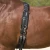 1435-622_longiergurt_surcingle_horse_1_shop.webp