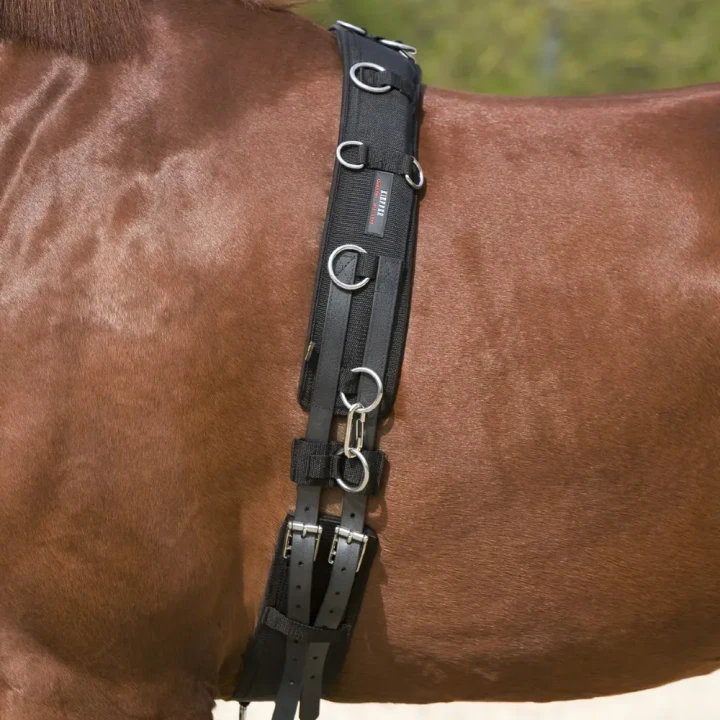 1435-622_longiergurt_surcingle_horse_1_shop.webp