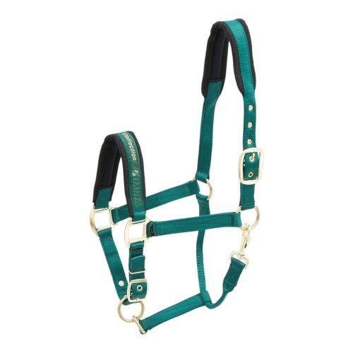 503-553_collection_green_iso_1_shop.jpg