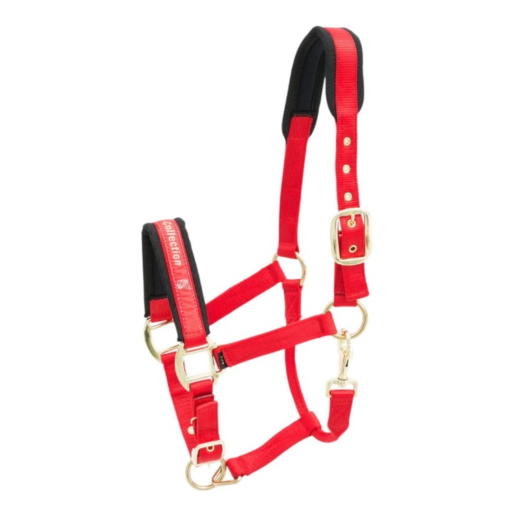 502-553_collection_red_iso_1_shop.jpg