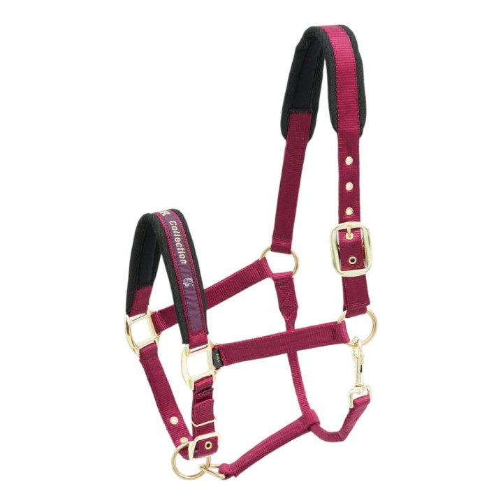 508-553_collection_burgundy_iso_1_shop.jpg