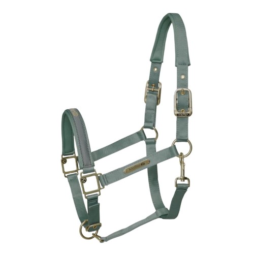 530-590_satin_shine_mint_iso_1_shop.jpg