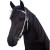 Show bridle (2).jpg