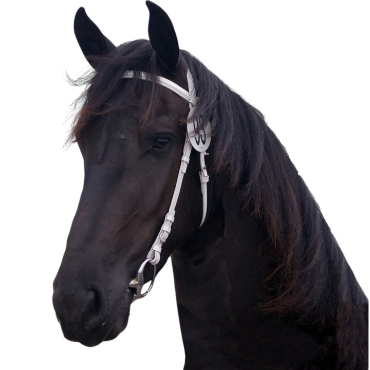 Show bridle (2).jpg