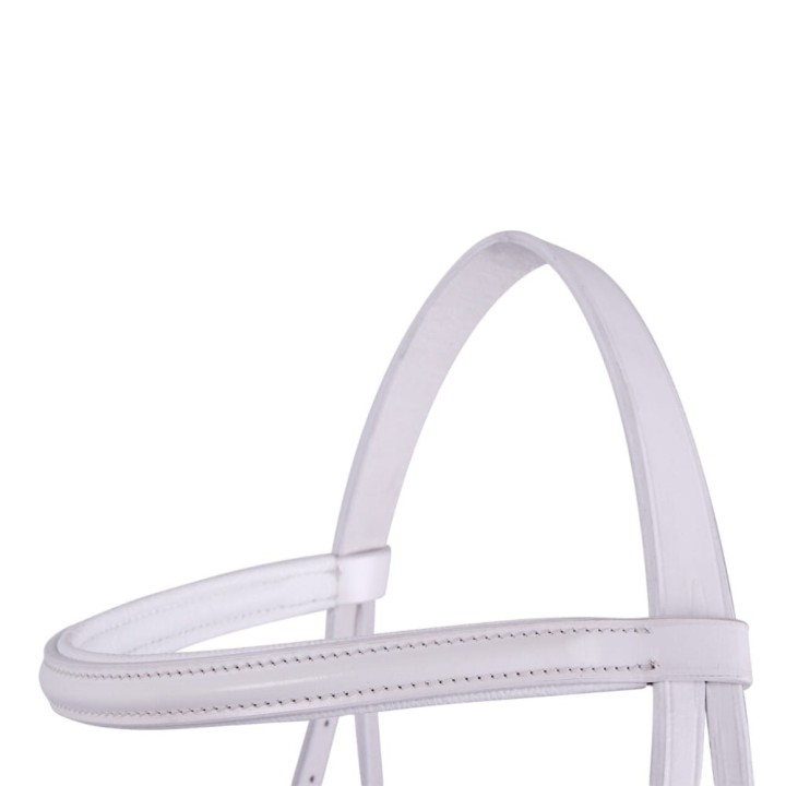 Show bridle (1).jpg