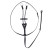 Martingale with cord.jpg