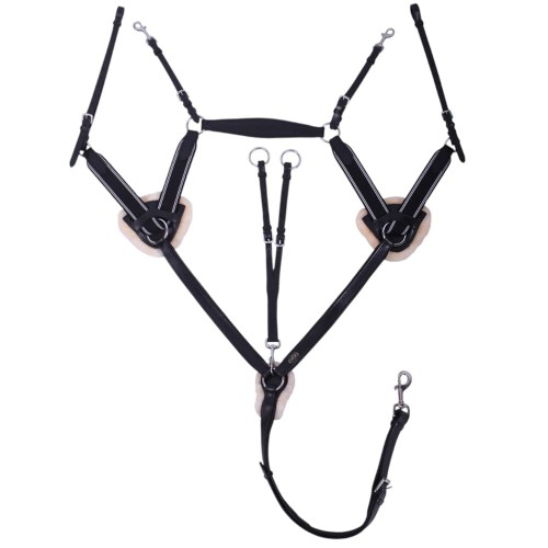 Breastplate Ontario black.jpg