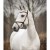 knights_arthur_QT7B4636_r.jpg