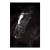 26201_horse.jpg