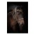 26105_horse.jpg