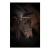 26305_horse.jpg