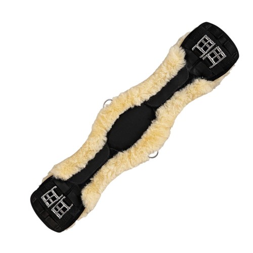 1117_dressyrgjord_pals (1).jpg