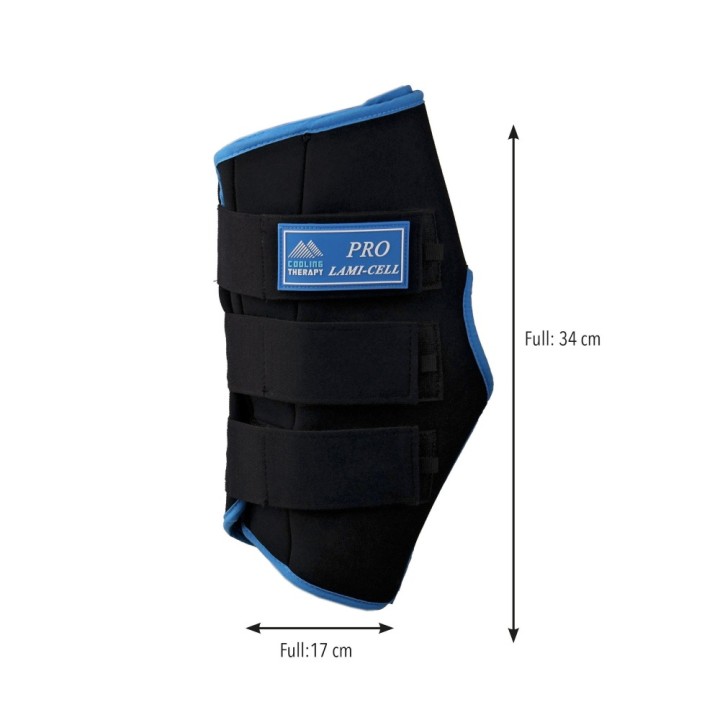 330664_size.jpg